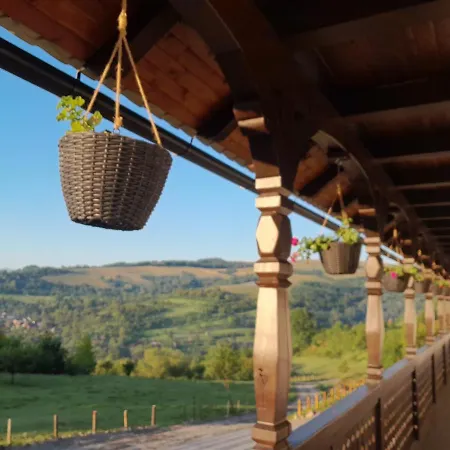 Mosia Dar In Rai Berbesti