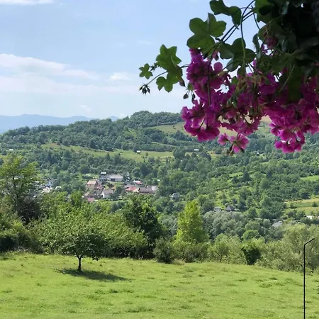 Mosia Dar In Rai * Berbesti
